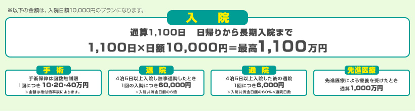 掛け金は月々１０００円