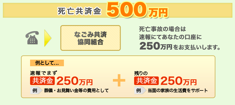 脂肪共済金５００万円