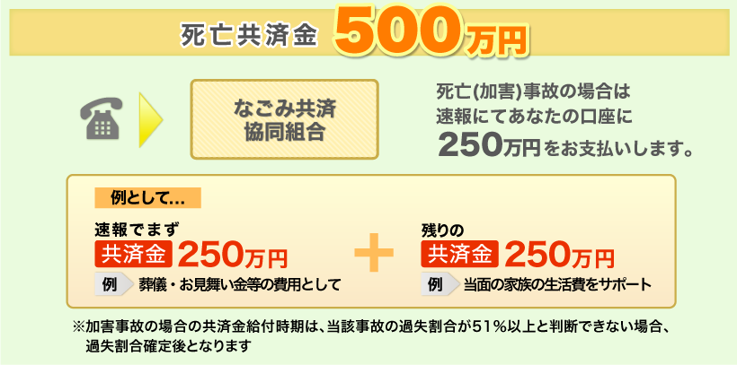 脂肪共済金５００万円